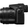 PANASONIC Lumix DMC-FZ2000